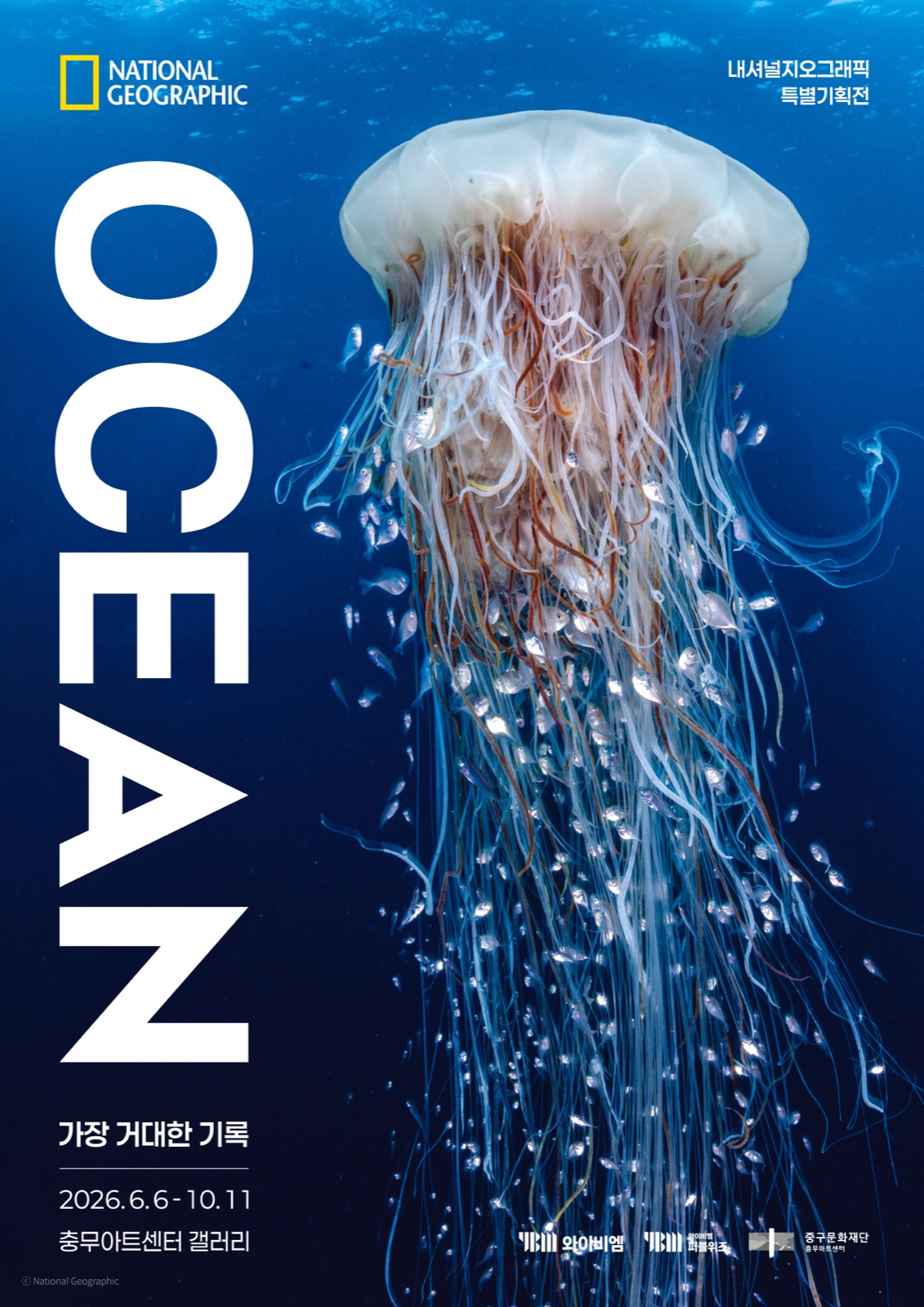 푸른 바다를 배경으로 긴 촉수를 늘어뜨린 해파리와 'OCEAN' 글자가 크게 들어간 전시 공식 포스터입니다.